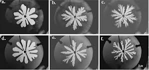 growing radial H-S viscous fingers